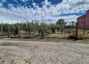 Foto 12 - Terreno agricolo via Santa Chiara, Somma Vesuviana - foto 12