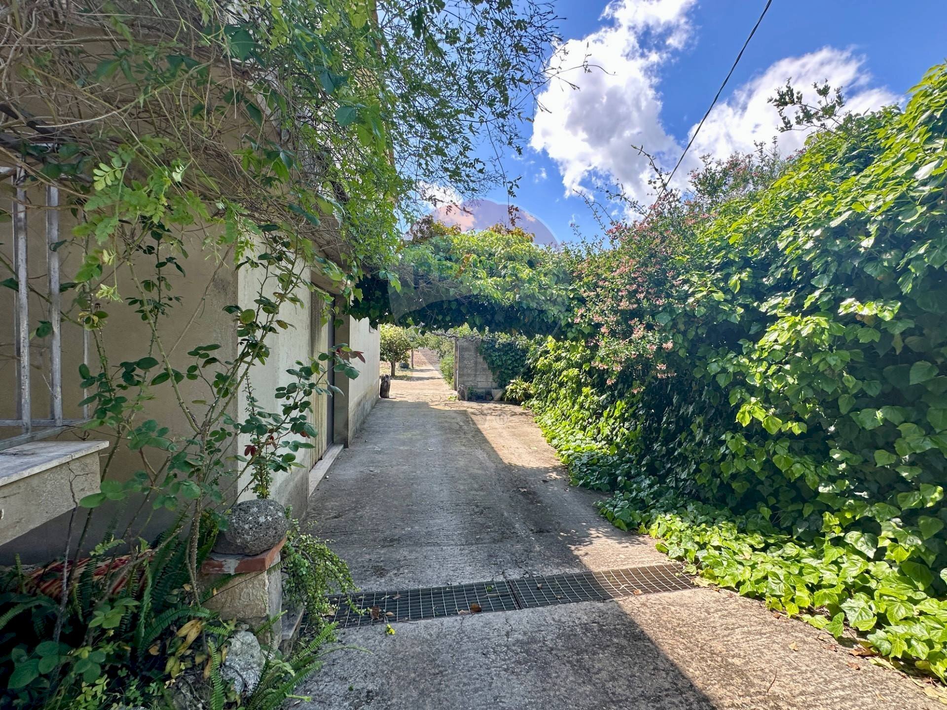 Giardino - Villa C.da Piano Dell'Acqua, Chiaramonte Gulfi - photo 3