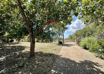 Giardino - Villa C.da Piano Dell'Acqua, Chiaramonte Gulfi - foto 4