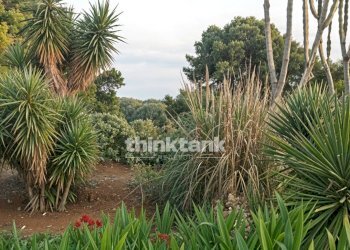 Foto 6 - Villa Eraclea Minoa
 
snc, Cattolica Eraclea - foto 6