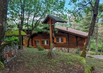 Single Family Villa Monterenzio - photo 5