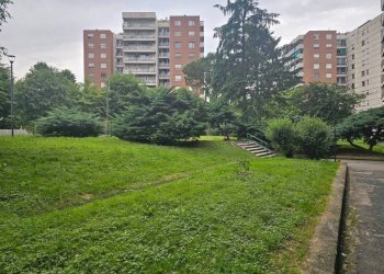 Ufficio Torino - foto 15
