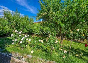 Villa Vetralla - foto 19