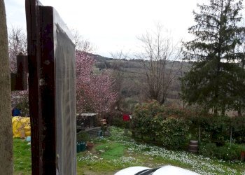 Foto 11 - Rustico Montespertoli - foto 11