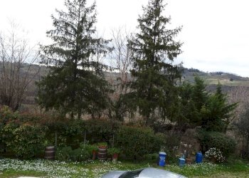 Foto 12 - Rustico Montespertoli - foto 12