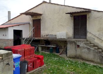 Foto 15 - Rustico Montespertoli - foto 15