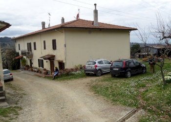 Foto 16 - Rustico Montespertoli - foto 16