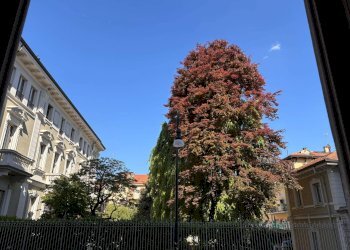 Foto 4 - Trilocale Via Michele Schina
 
5, Torino - foto 4