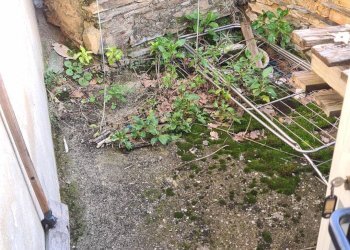 Foto 23 - Rustico Borgata Comparati, Casanova Lerrone - foto 23