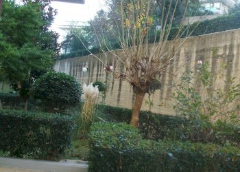 Foto 5 - Apartment Chieti - photo 5
