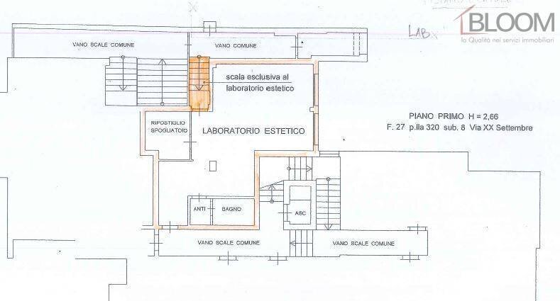 Foto 11 - Office via XX Settembre
 
9, Pieve di Cadore - floor plans 1
