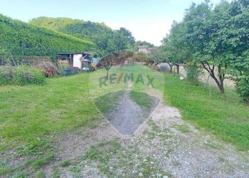 Giardino - Villa Via Per Cabiaglio, Cuvio - foto 9