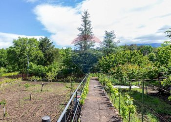 Giardino - Villa Contrada Calcerana Marina piazza aretusa
 
snc, Biancavilla - foto 58