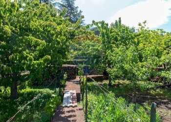 Giardino - Villa Contrada Calcerana Marina piazza aretusa
 
snc, Biancavilla - foto 60