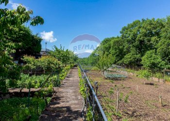 Giardino - Villa Contrada Calcerana Marina piazza aretusa
 
snc, Biancavilla - foto 61