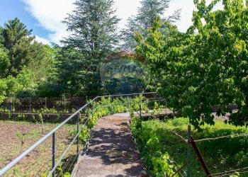 Giardino - Villa Contrada Calcerana Marina piazza aretusa
 
snc, Biancavilla - foto 62