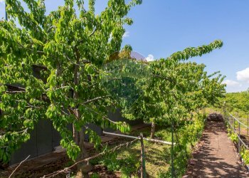 Giardino - Villa Contrada Calcerana Marina piazza aretusa
 
snc, Biancavilla - foto 63
