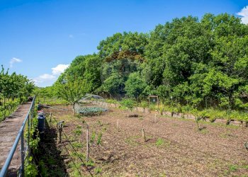 Giardino - Villa Contrada Calcerana Marina piazza aretusa
 
snc, Biancavilla - foto 66