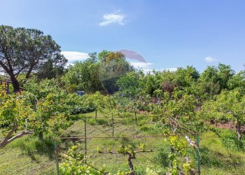 Giardino - Villa Contrada Calcerana Marina piazza aretusa
 
snc, Biancavilla - foto 68