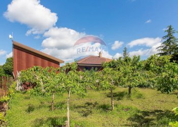 Giardino - Villa Contrada Calcerana Marina piazza aretusa
 
snc, Biancavilla - foto 70