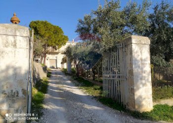 Casa all\'aperto - Rustico Contrada Asprolonga
 
2, Mattinata - foto 5