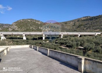 Vista delle montagne - Rustico Contrada Asprolonga
 
2, Mattinata - foto 19