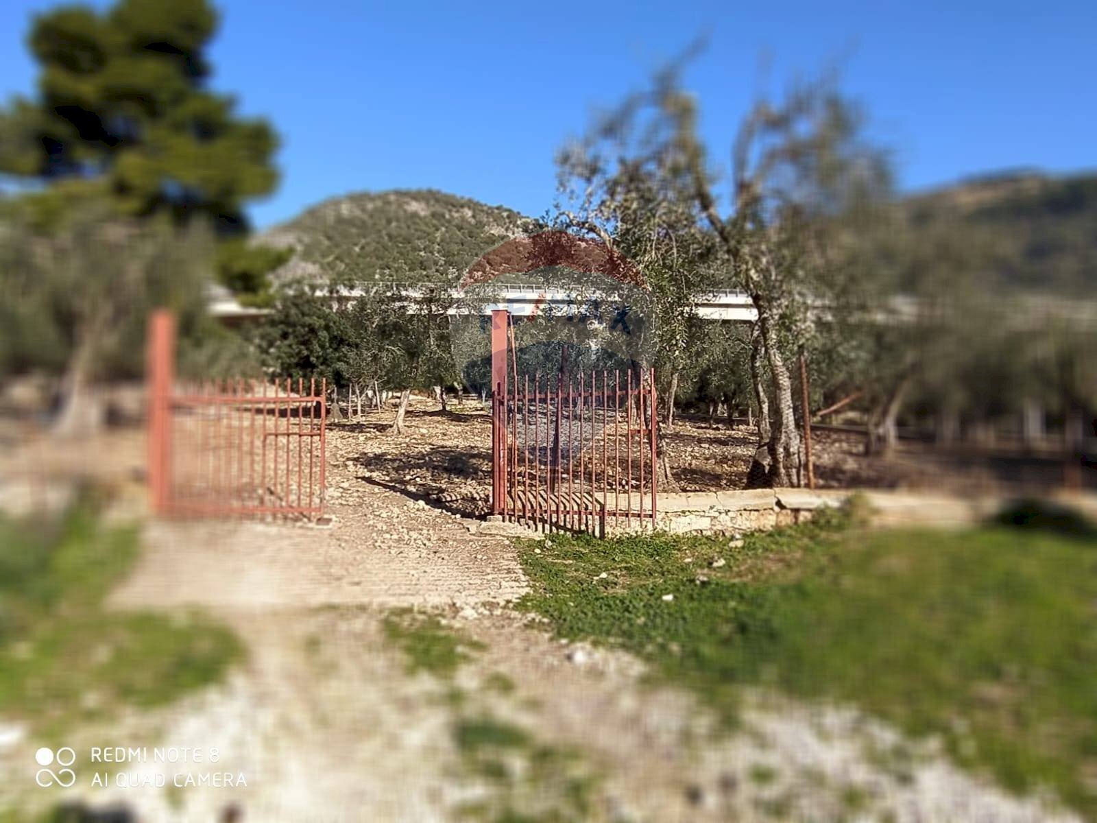 Giardino - Terreno agricolo Contrada Asprolonga, Mattinata - foto 2