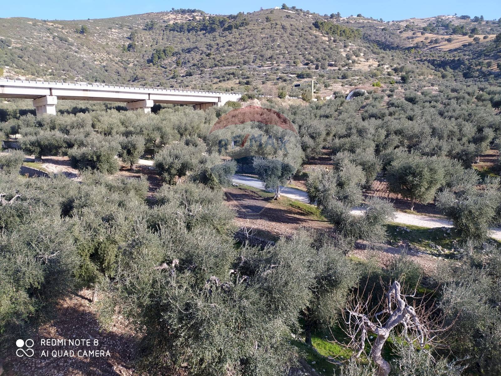 Vista delle montagne - Terreno agricolo Contrada Asprolonga, Mattinata - foto 3