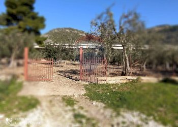 Giardino - Agricultural land Contrada Asprolonga, Mattinata - photo 2