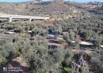 Vista delle montagne - Agricultural land Contrada Asprolonga, Mattinata - photo 3