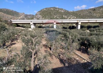 Vista delle montagne - Agricultural land Contrada Asprolonga, Mattinata - photo 4