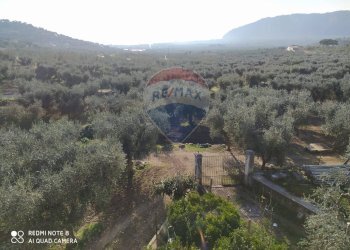 Vista delle montagne - Agricultural land Contrada Asprolonga, Mattinata - photo 5