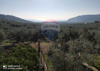 Vista delle montagne - Agricultural land Contrada Asprolonga, Mattinata - photo 6