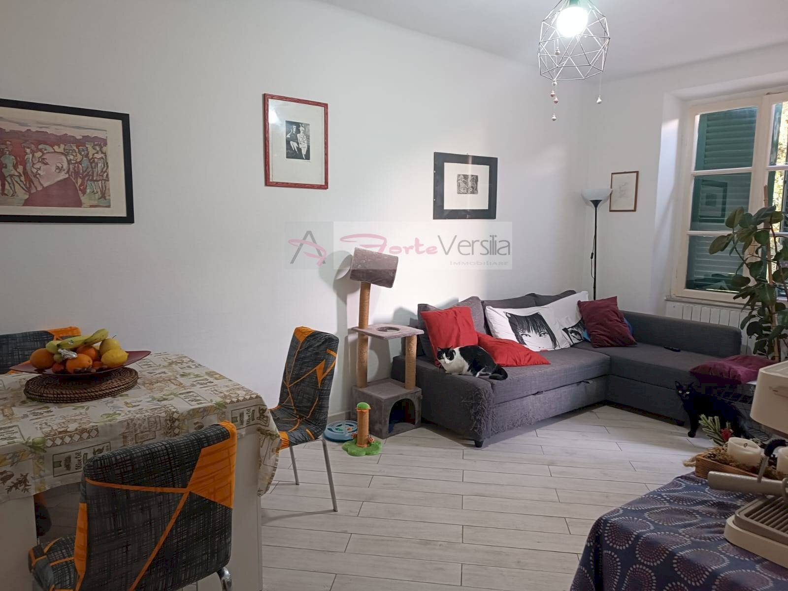 Foto 1 - Quadrilocale Montignoso - foto 1