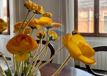 Dettagli - Appartamento Via Torino
 
21, Sassari - foto 3