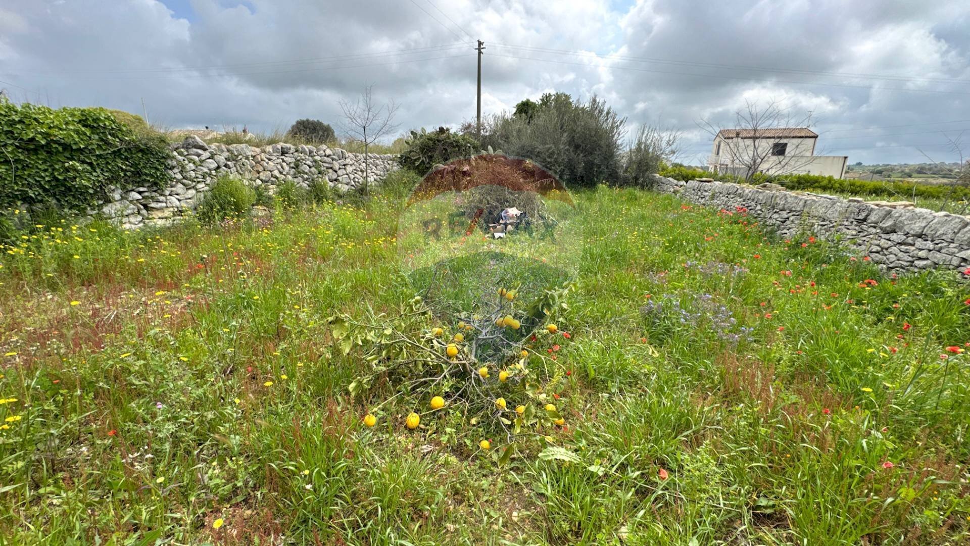 Giardino - Rustico via Modica/Noto
 
106/b, Modica - foto 2