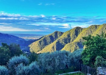 esterno - Independent house Via Divisione Giulia, Seravezza - photo 36