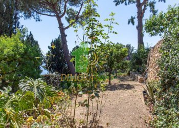 Foto 22 - Villa Strada Peiranze
 
36, Sanremo - foto 22