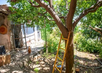 Foto 27 - Villa Strada Peiranze
 
36, Sanremo - foto 27