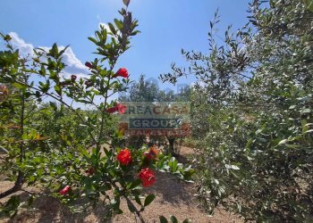 Foto 37 - Villa c.da sparacio, Assoro - foto 37