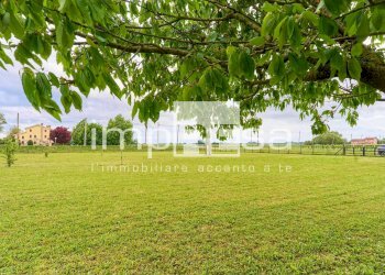 Foto 14 - Rustico via Nuova
 
74, Roncade - foto 14