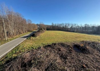 Terreno - Rustico via Lago, Besozzo - foto 19