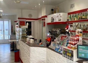 Interno non residenziale - Bar Tavola Calda - Fredda via Chiesa della Salute, 118, Torino - foto 5