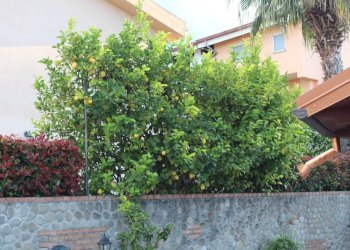 Giardino - Villa via Piano Marina, Roseto Capo Spulico - foto 18