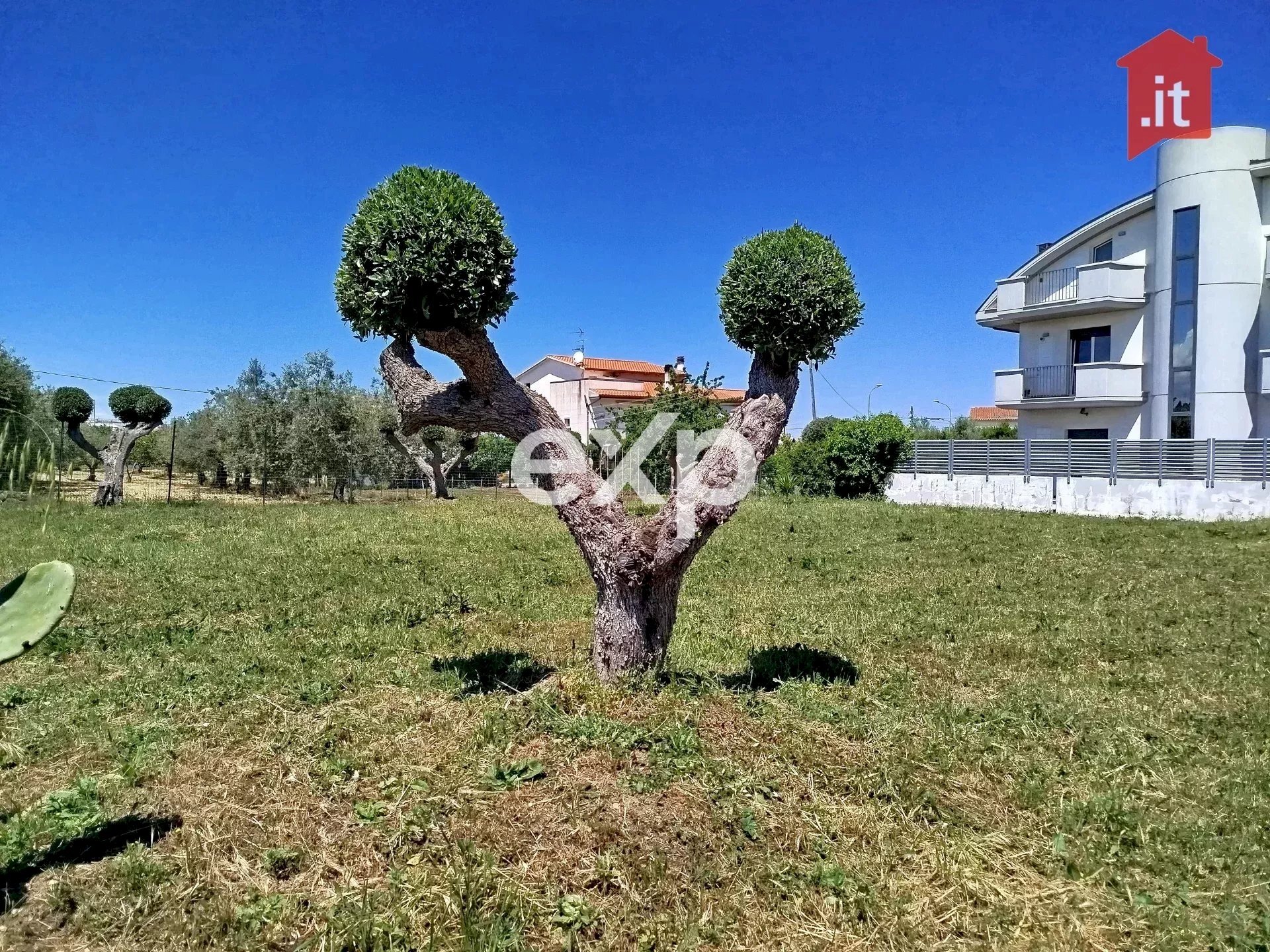 Terreno edificabile Contrada Pagliarelli, Vasto - foto 2