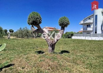 Terreno edificabile Contrada Pagliarelli, Vasto - foto 2