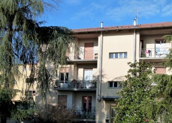 Appartamento Castel San Pietro Terme - foto 2