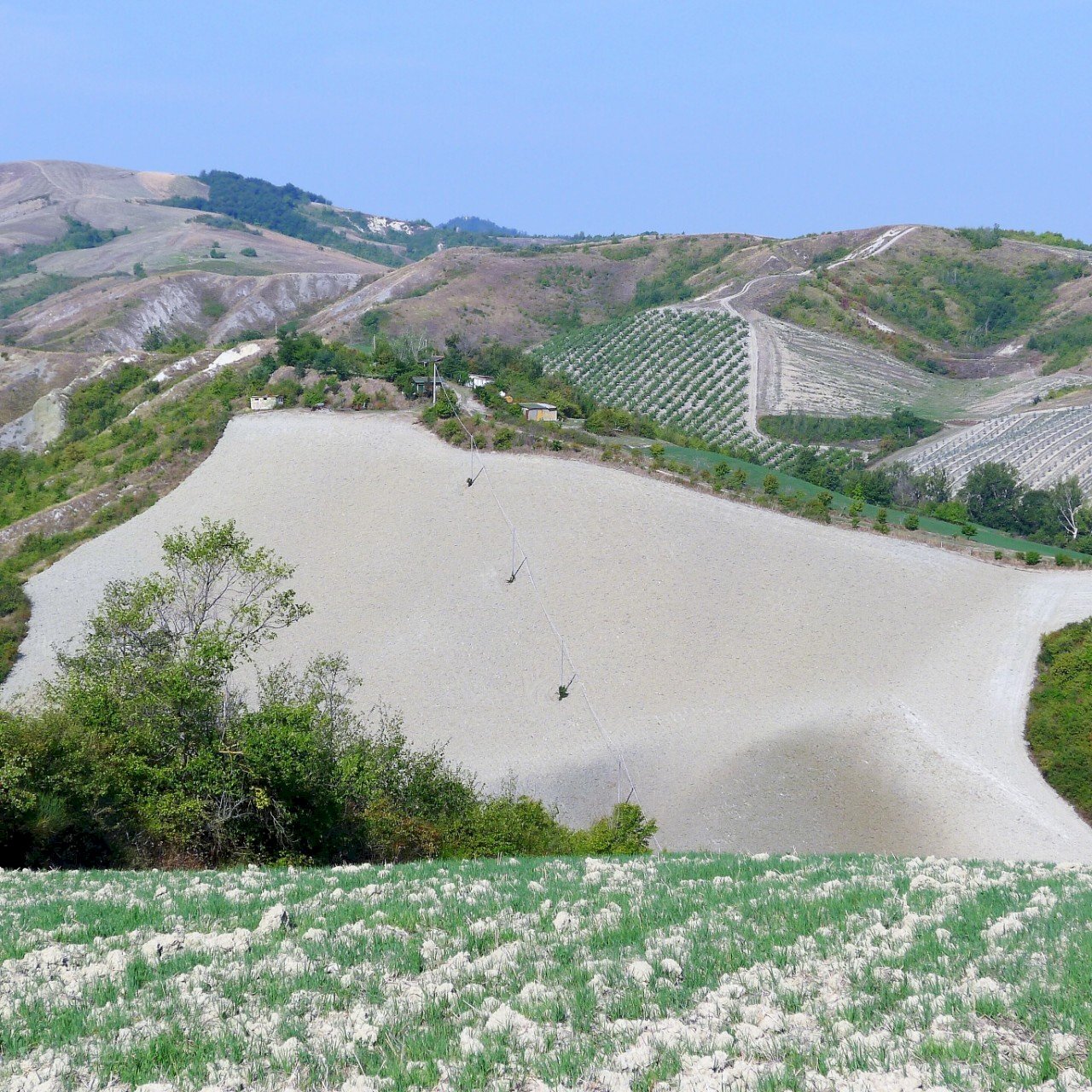 Terreno edificabile Castel San Pietro Terme - foto 1