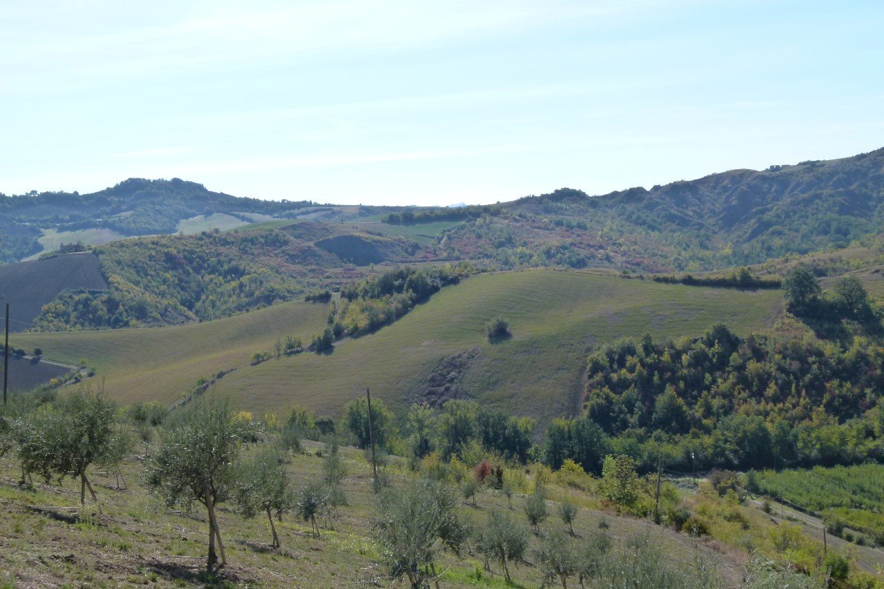 Terreno edificabile Castel San Pietro Terme - foto 2