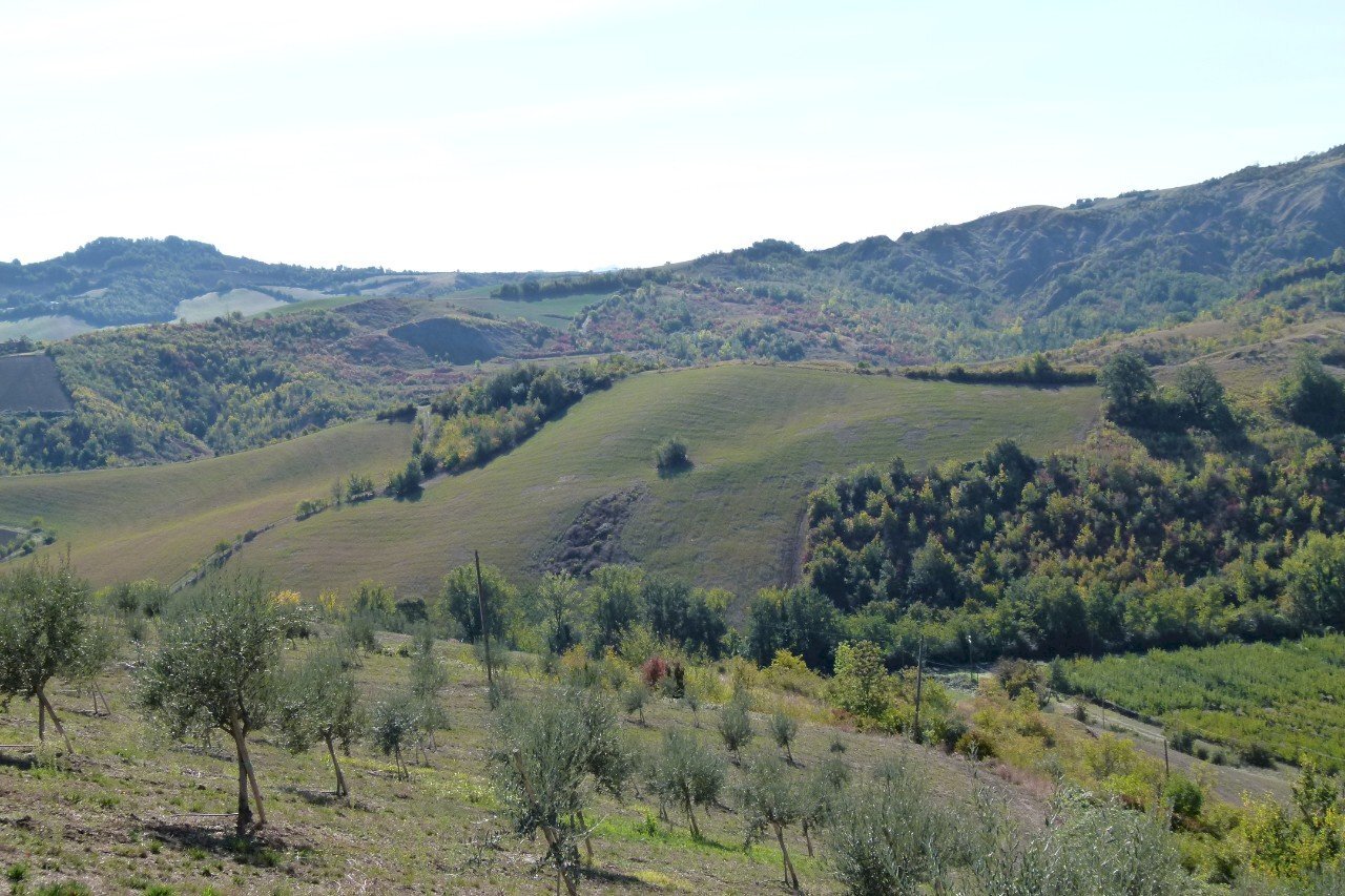 Terreno edificabile Castel San Pietro Terme - foto 3